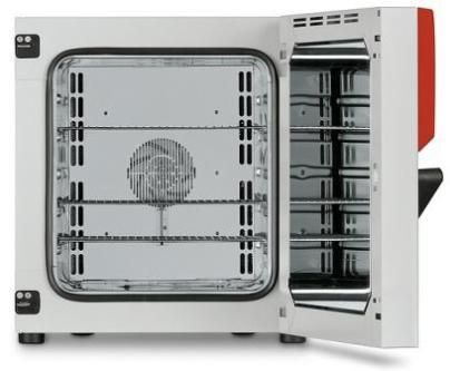 Низкотемпературный электрический сушильный шкаф FD 53, Binder
