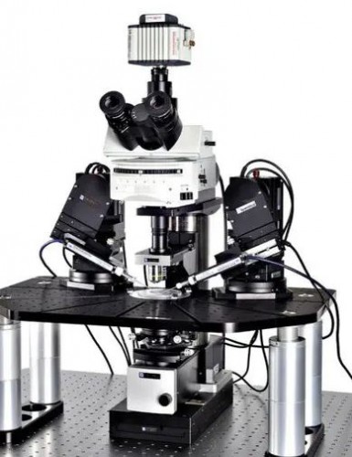 Оптический микроскоп SliceScope Pro 2000, Scientifica