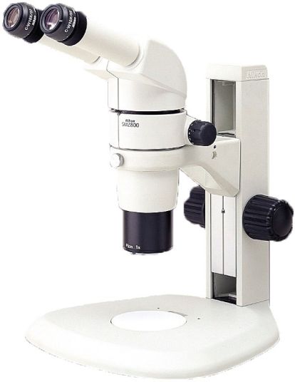 Флуоресцентный стереомикроскоп SMZ800 (Nikon)