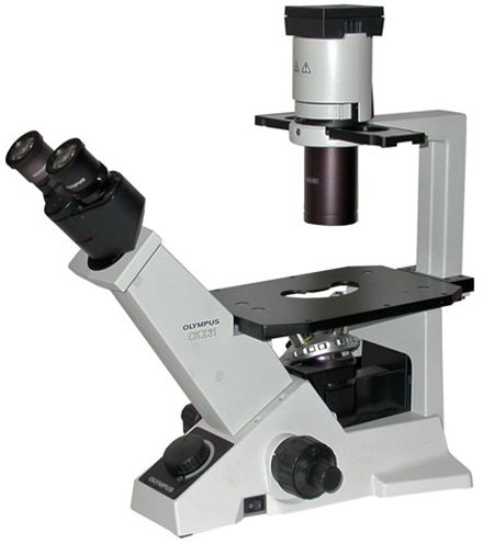 Инвертированный микроскоп CKX31, Olympus