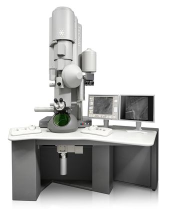 Сканирующий просвечивающий электронный микроскоп Teсnai G2 F20 S-TWlN, FEI