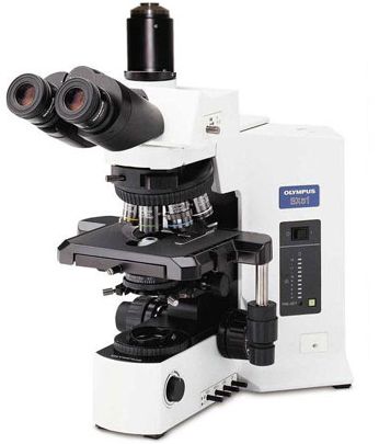 Прямой микроскоп BX51 WI, Olympus