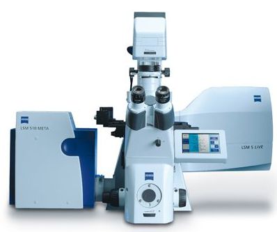 Лазерный сканирующий микроскоп LSM 510 NLO Duoscan, Carl Zeiss