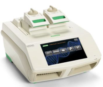 ДНК-амплификатор C1000 Touch, Bio-Rad