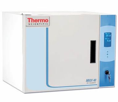 Компактный CO2-инкубатор Midi 40, Thermo Scientific