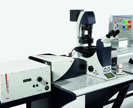Мультифотонный конфокальный микроскоп TCS SP5 MP, Leica