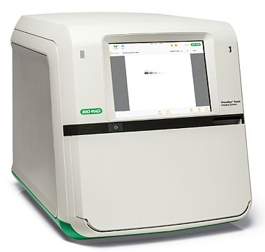 Система визуализации гель электрофореза ChemiDoc Touch Imaging System, Bio-Rad