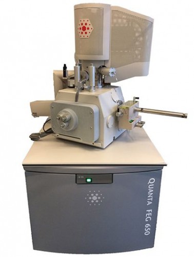 Растровый электронный микроскоп QUANTA 650 FEG, FEI