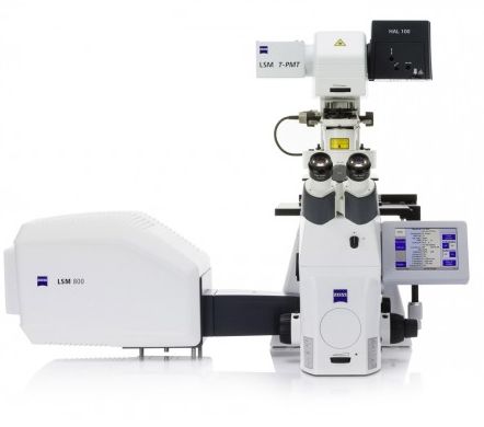 Конфокальный лазерный сканирующий микроскоп LSM 800 с модулем Airyscan, Carl Zeiss