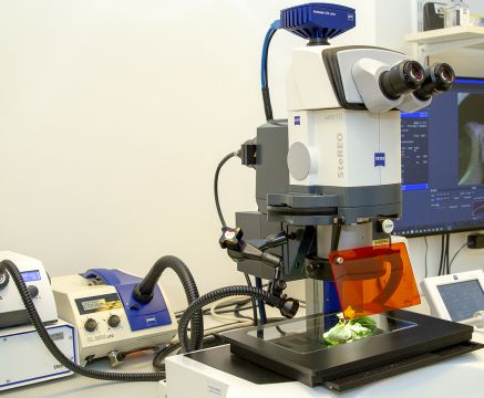 Люминесцентный микроскоп Stereo Lumar.V12 c системой документации изображения Axiocam 506 color, Carl Zeiss