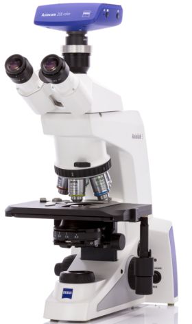 Прямой микроскоп Axiolab 5, Carl Zeiss