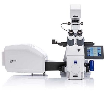 Лазерный сканирующий микроскоп LSM 900, Carl Zeiss
