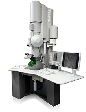 Криогенный просвечивающий электронный микроскоп Tecnai G2 SPIRIT, FEI