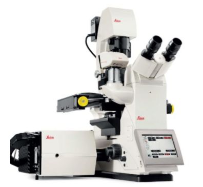 Лазерный конфокальный микроскоп TCS SPE, Leica Microsystems