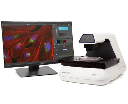 Система визуализации клеток EVOS M7000, Thermo Fisher Scientific