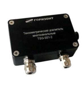 Цифровой преобразователь тензодатчиков TSG-S01-2, Горизонт