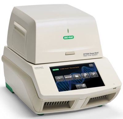 Термоциклер для амплификации нуклеиновых кислот C1000 Touch CFX96, BioRad