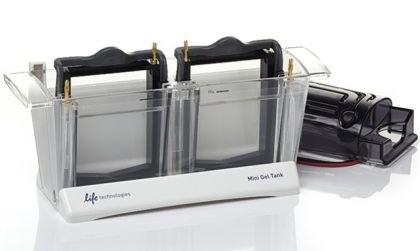 Вертикальная камера для электрофореза Mini Gel Tank, Thermo Scientific