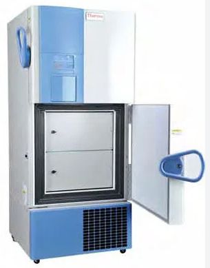 Морозильник вертикальный Forma 905 (Thermo Fisher Scientific)